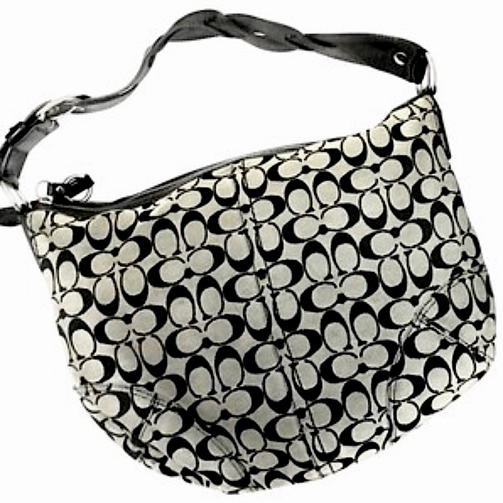 Coach Hobo Signature Bag with Braided Strap
